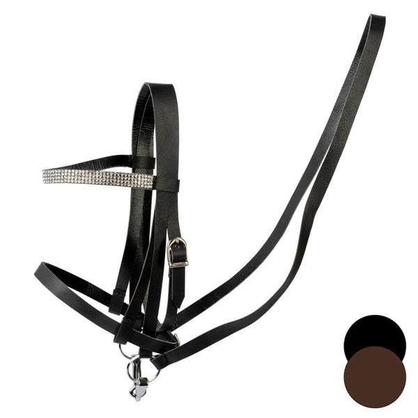 Cheval Roi Trense